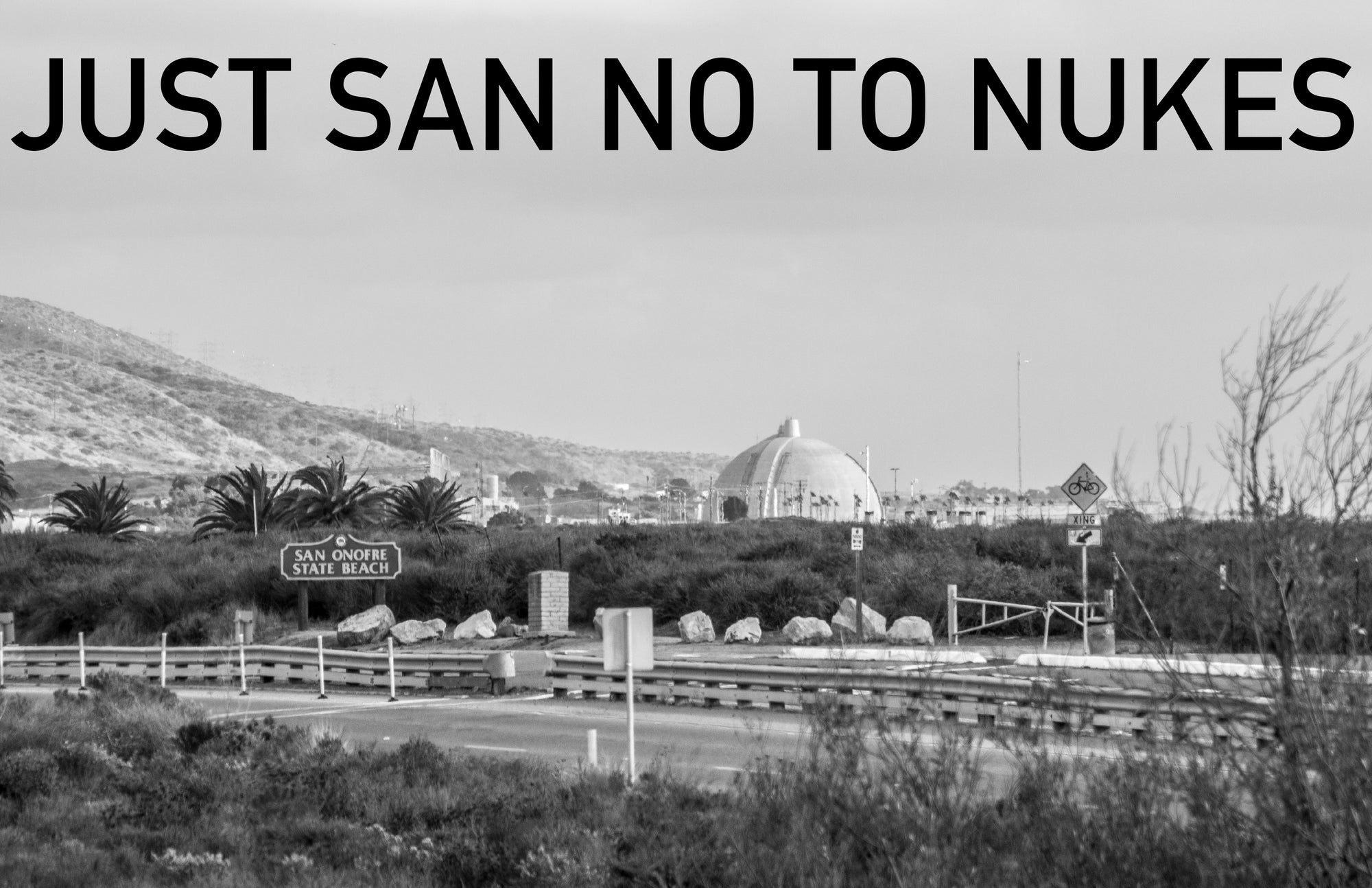 JUST SAN NO TO NUKES